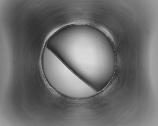 X0000108480952200904031117