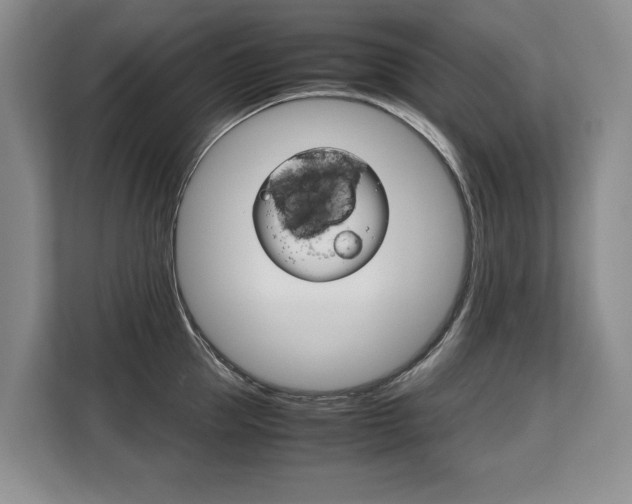 X0000108480953200904031117
