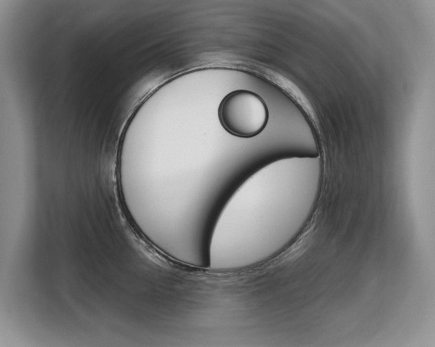 X0000108480954200904031117