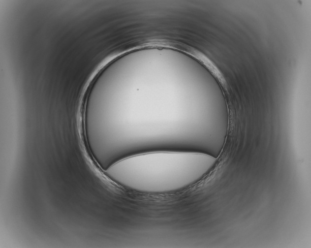 X0000108480955200904031117