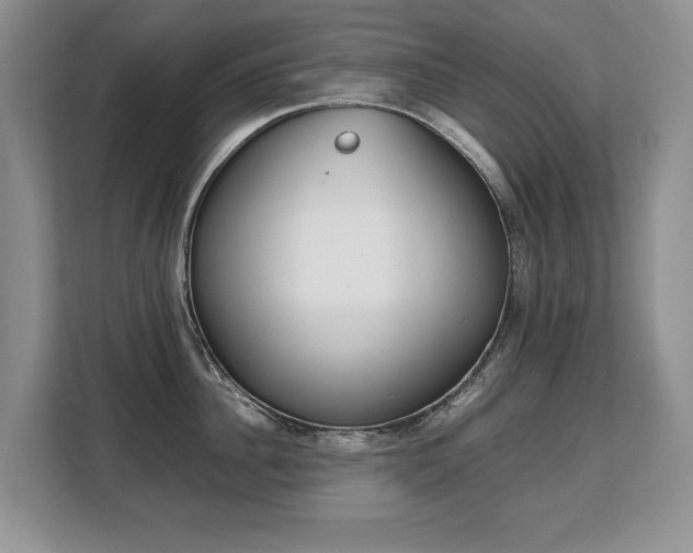 X0000108480956200904031117