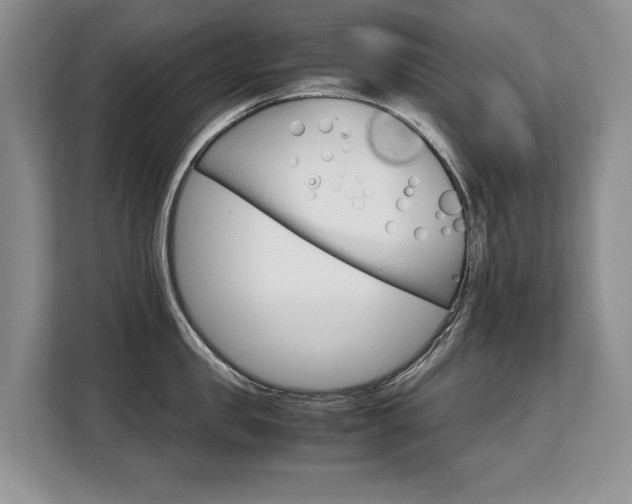 X0000108480957200904031117
