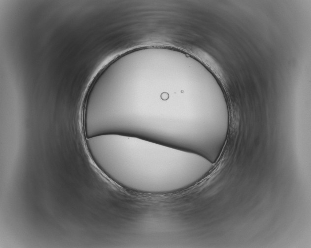 X0000108480958200904031117