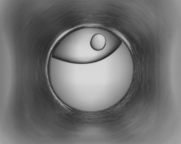 X0000108480959200904031117