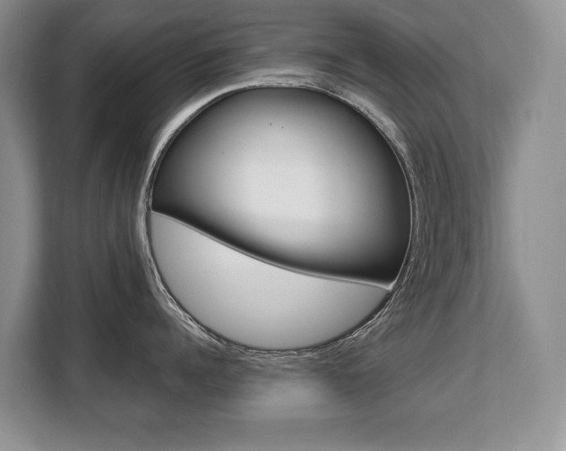 X0000108480960200904031117