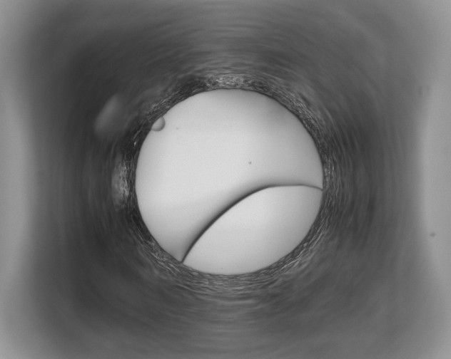X0000108480962200904031116