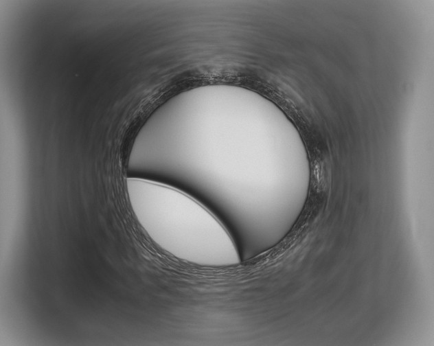 X0000108480963200904031116