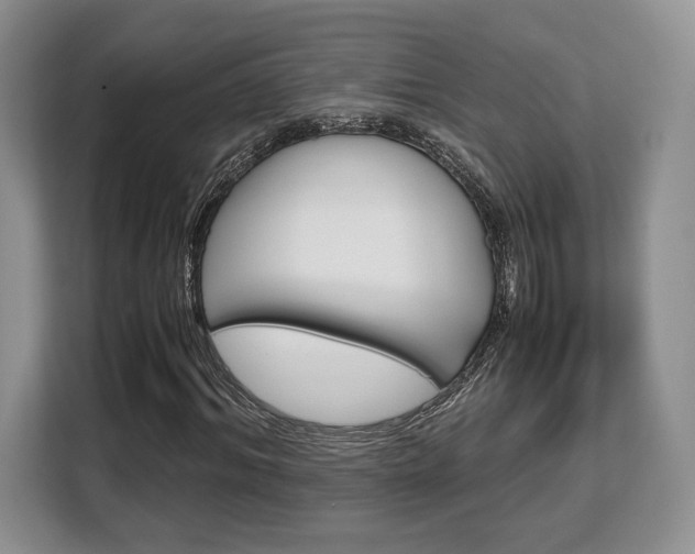 X0000108480964200904031116