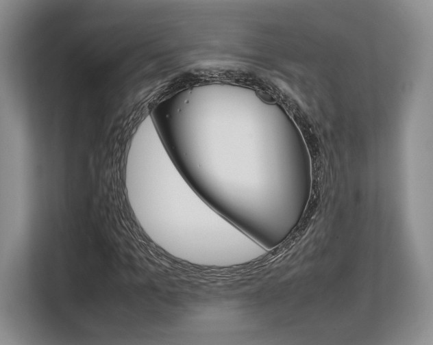 X0000108480965200904031116