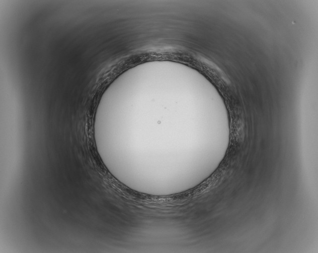 X0000108480966200904031116