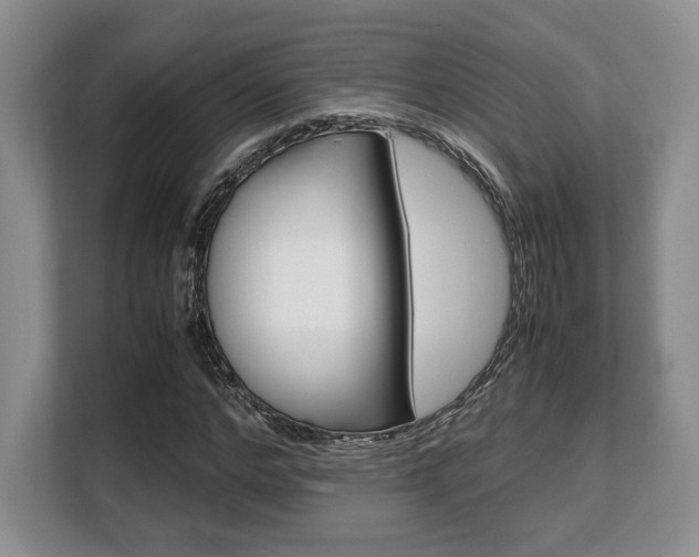 X0000108480968200904031116