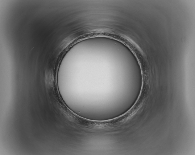 X0000108480969200904031116