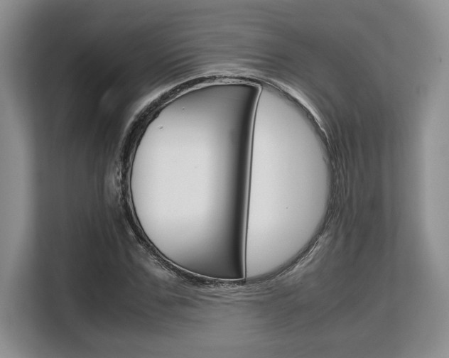 X0000108480971200904031116