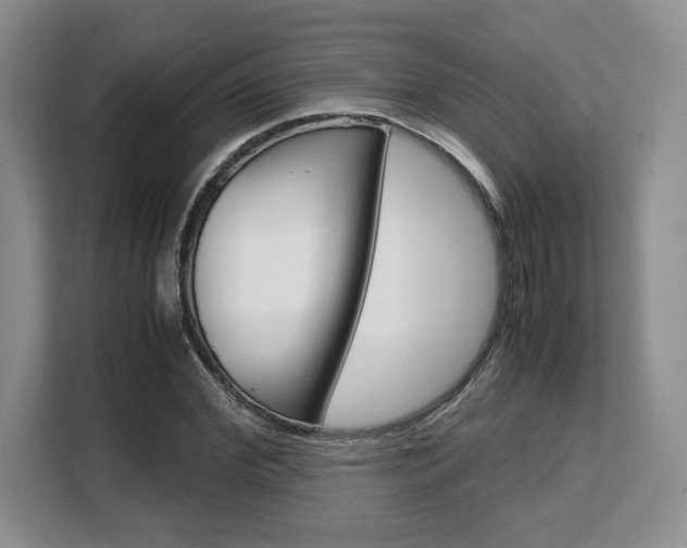 X0000108480972200904031116