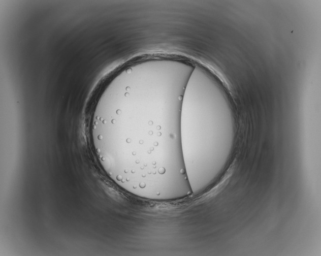 X0000108480974200904031116