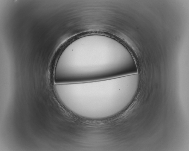 X0000108480975200904031116