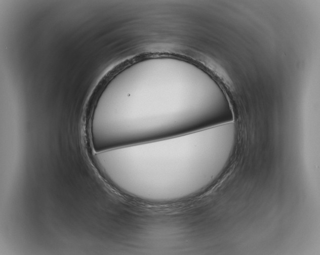X0000108480976200904031116