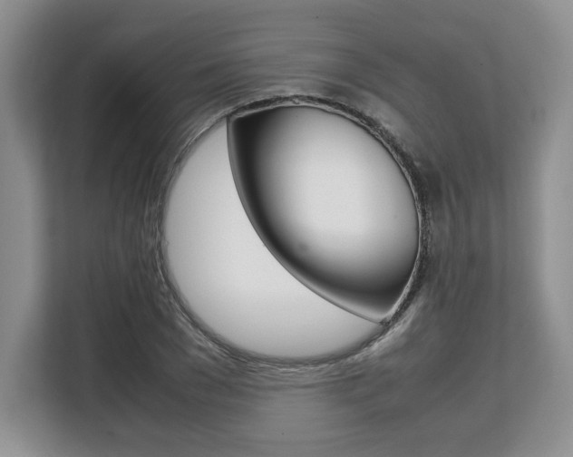 X0000108480977200904031116