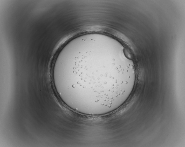 X0000108480978200904031116
