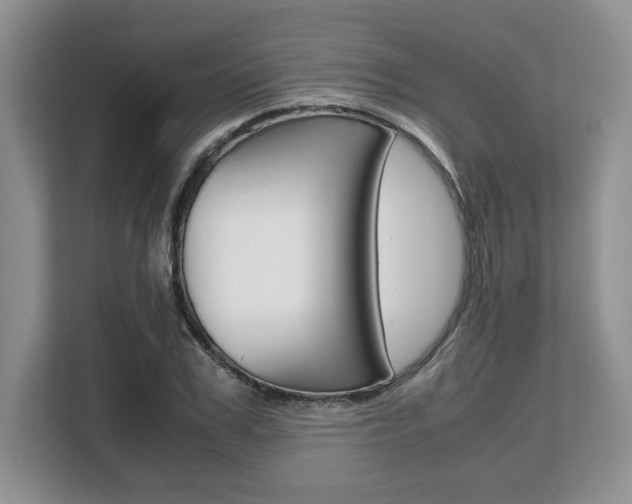 X0000108480979200904031116