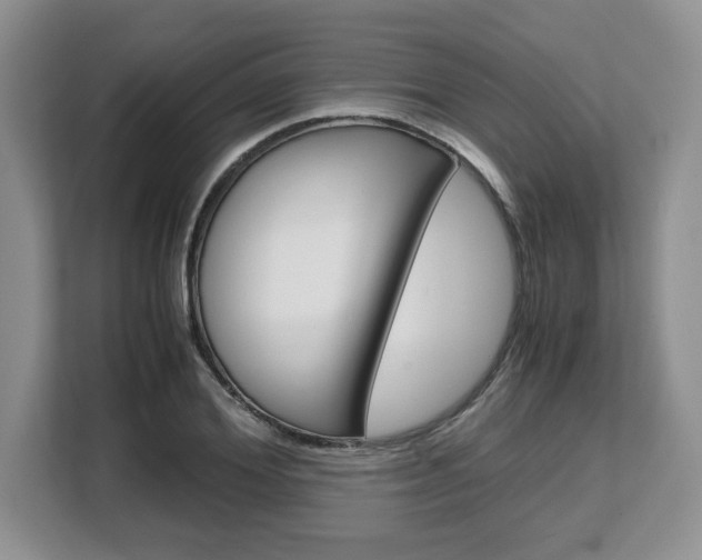 X0000108480980200904031116