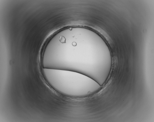 X0000108480982200904031116