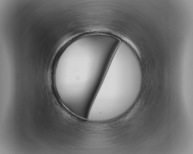 X0000108480983200904031116