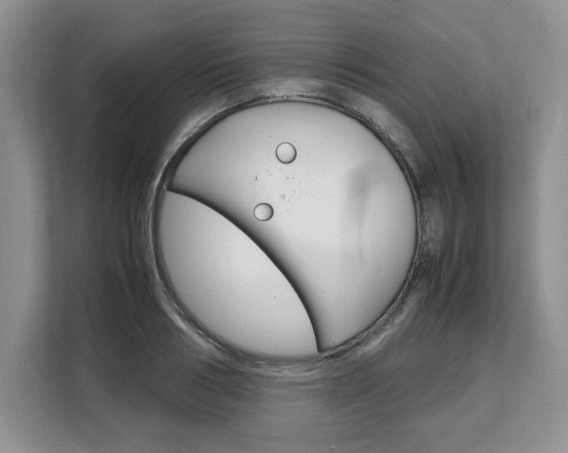 X0000108480986200904031116