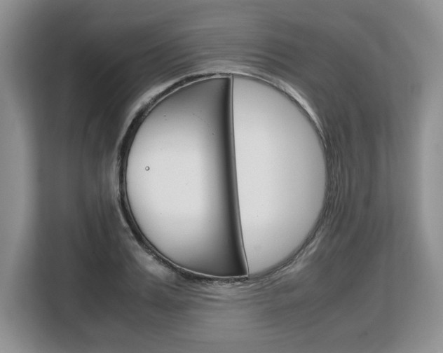 X0000108480987200904031116