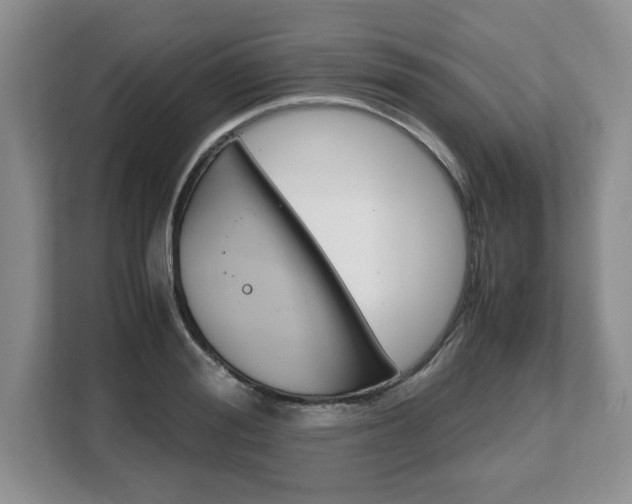 X0000108480988200904031116