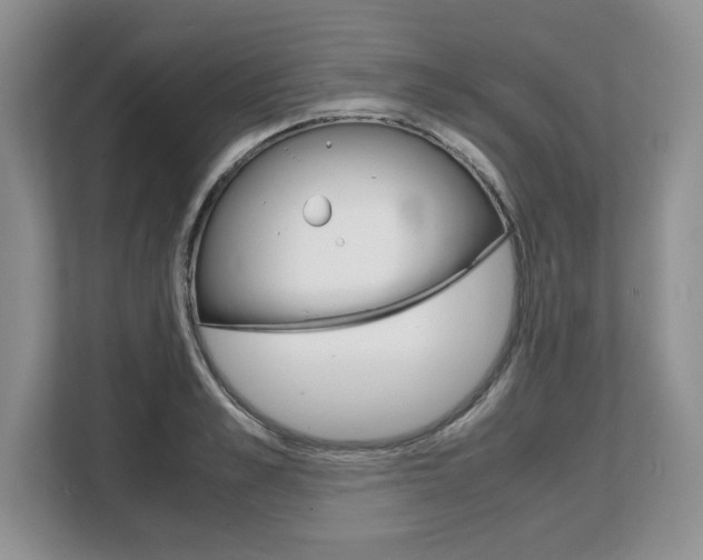 X0000108480989200904031116