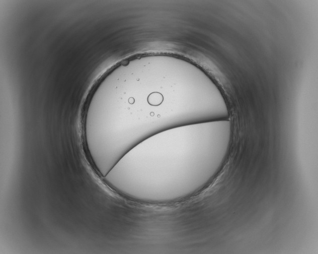 X0000108480990200904031116