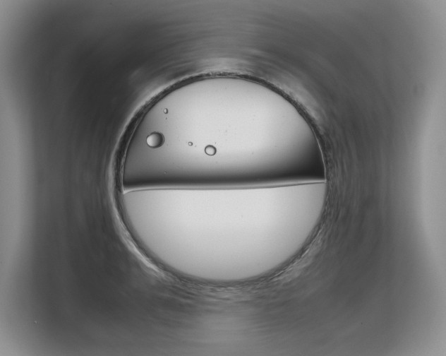 X0000108480991200904031116
