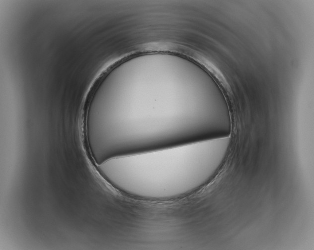 X0000108480992200904031116