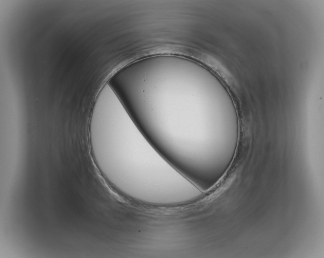 X0000108480993200904031116
