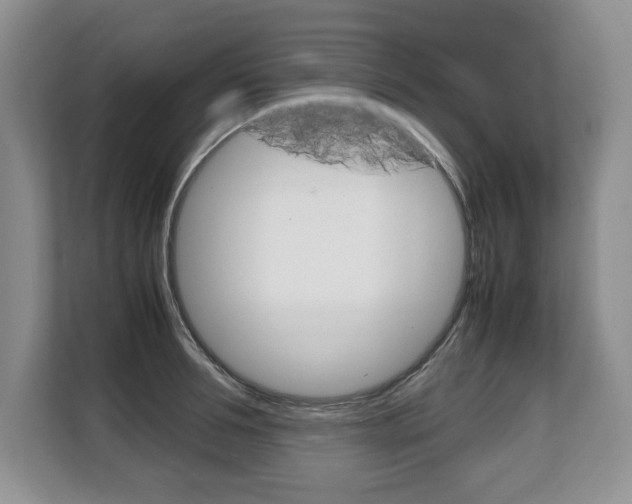 X0000108480994200904031116