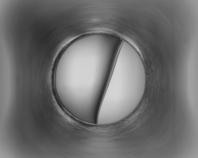 X0000108480995200904031116