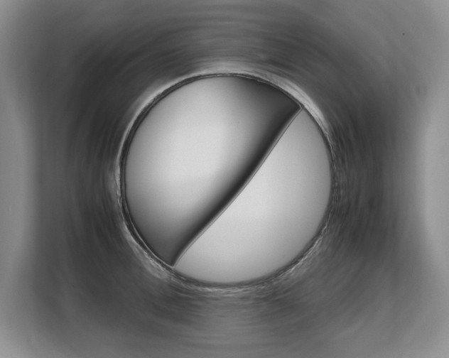 X0000108480996200904031116