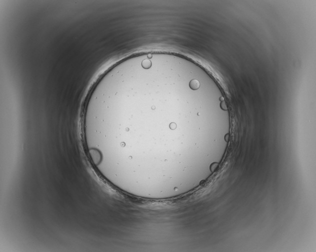 X0000108480998200904031116
