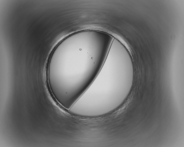 X0000108480999200904031116