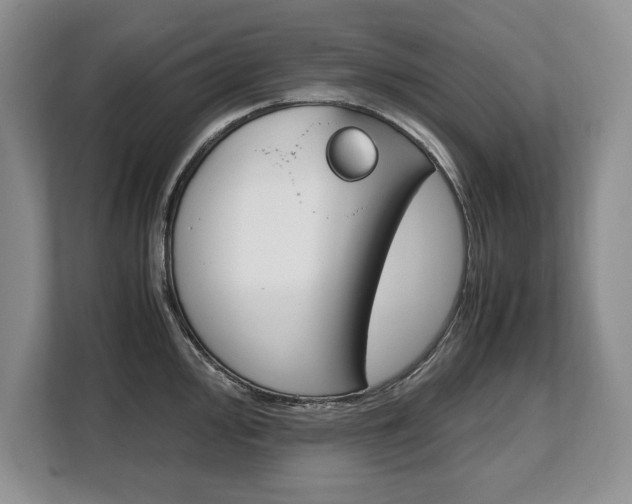 X0000108481000200904031116