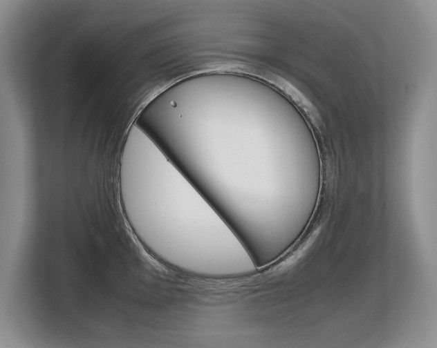 X0000108481001200904031116