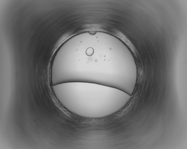 X0000108481002200904031116