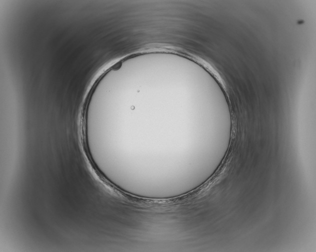 X0000108481003200904031116