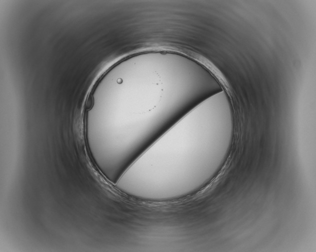 X0000108481004200904031116