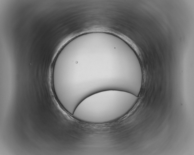 X0000108481006200904031116