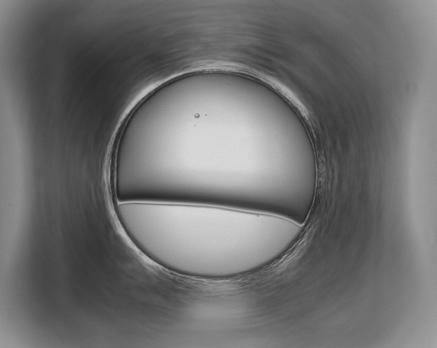X0000108481007200904031116