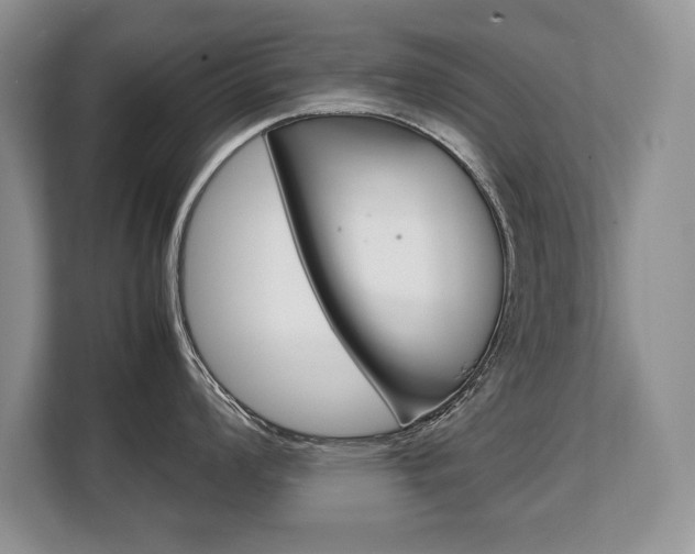 X0000108481008200904031116