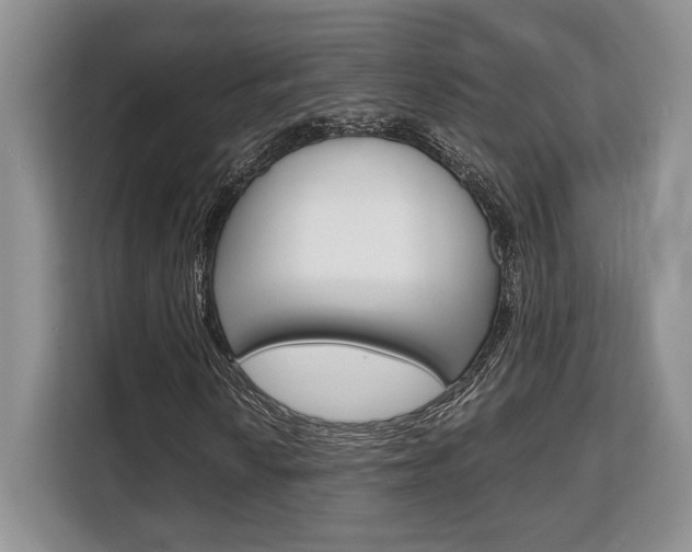 X0000108481010200904031115