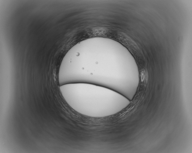 X0000108481011200904031115